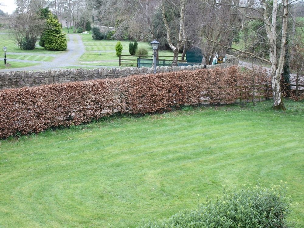 Ballinacourty House B&B Tipperary Exterior photo